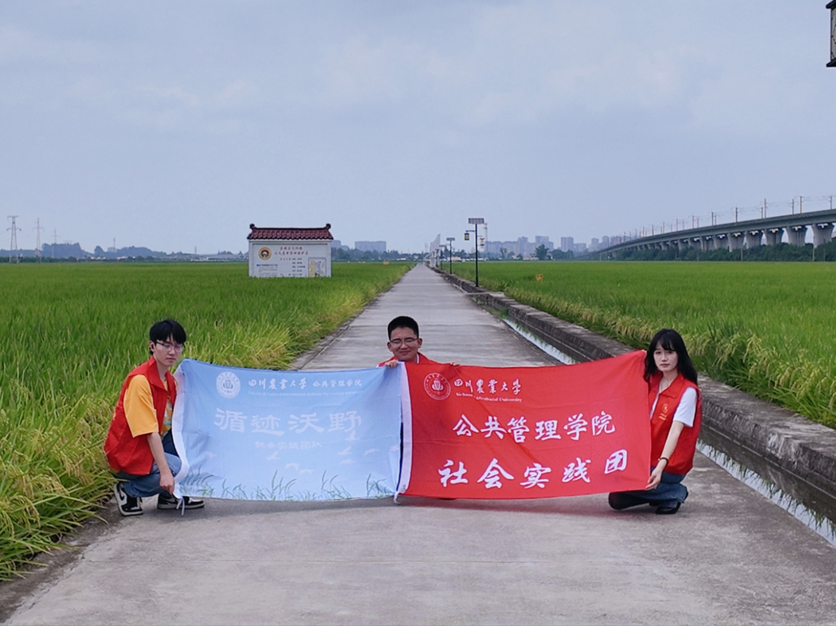 循迹天府粮仓建设——川农学子赴眉山永丰村参观乡村产业发展 循迹天府粮仓建设——川农学子赴眉山永丰村参观乡村产业发展